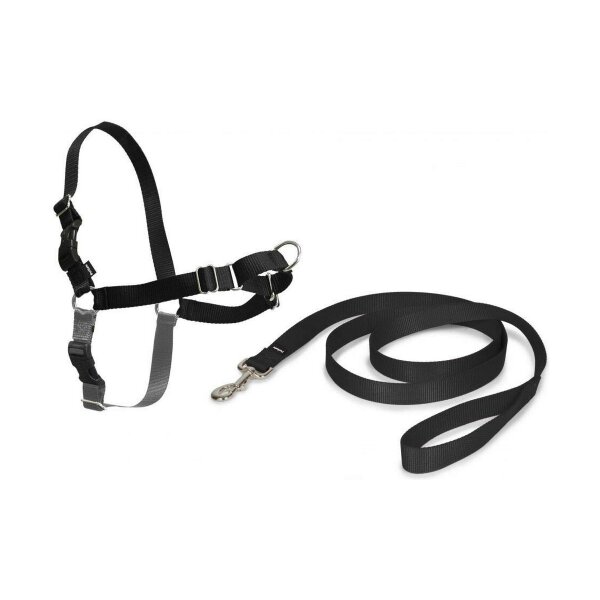 Haustiergurt PetSafe Easy Walk Schwarz Medianav (M)