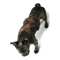 Hundegeschirr Hunter London Comfort 48-56 cm Braun...